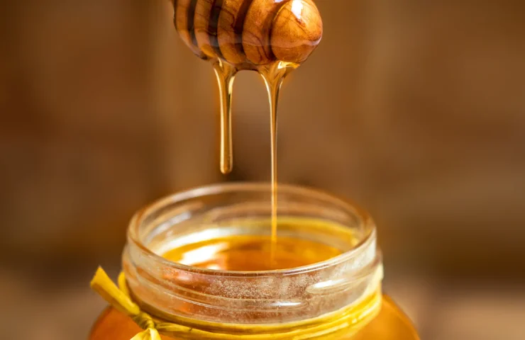 AA_How_to_tell_teh_difference_between_good_and_bad_honey_1080x